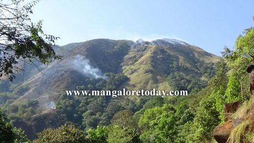 Fire at Kalenjimale Reserve Forest, 9 acres destroyed 1